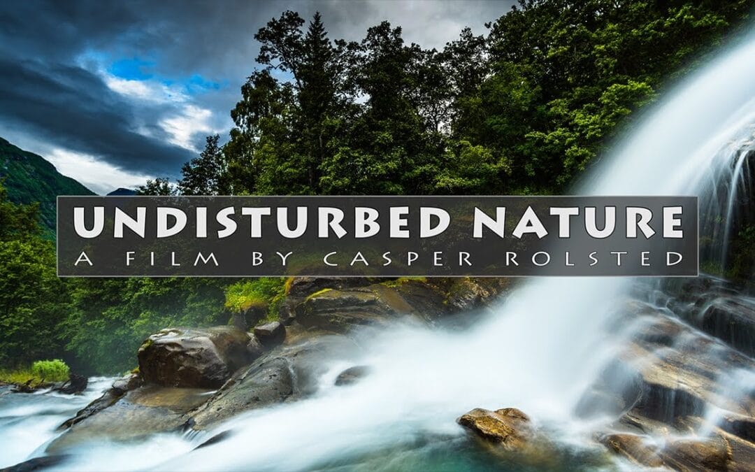 Undisturbed Nature
